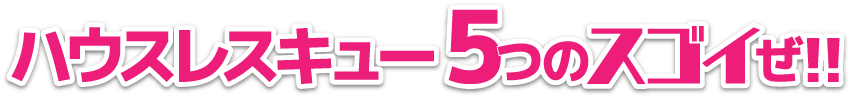 ハウスレスキュー5つのスゴイぜ!
