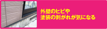 外壁のヒビや塗装の剥がれが気になる