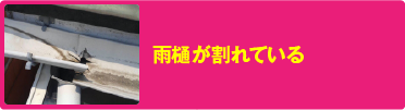 雨樋が割れている