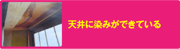 天井に染みができている